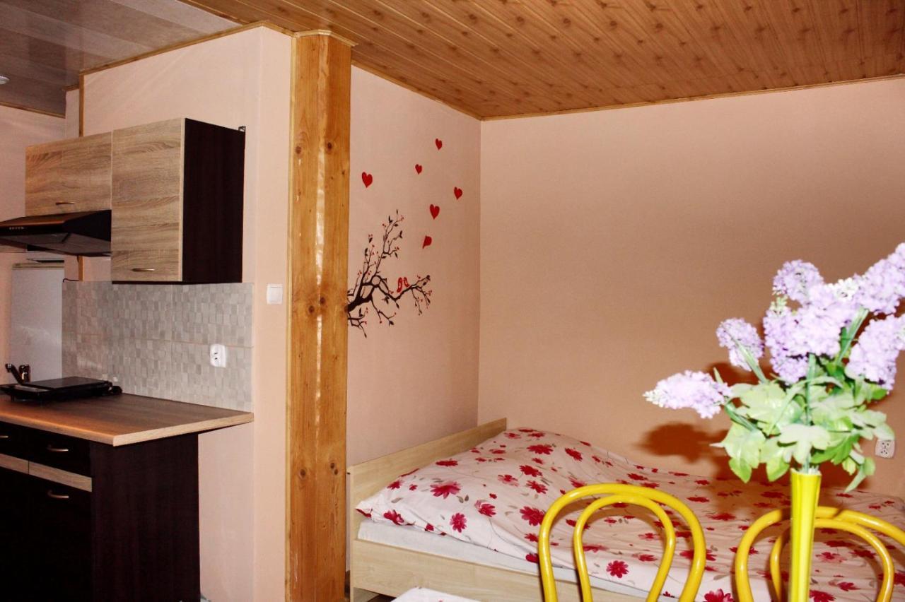 Pati Apartament Slonko Вісла Екстер'єр фото